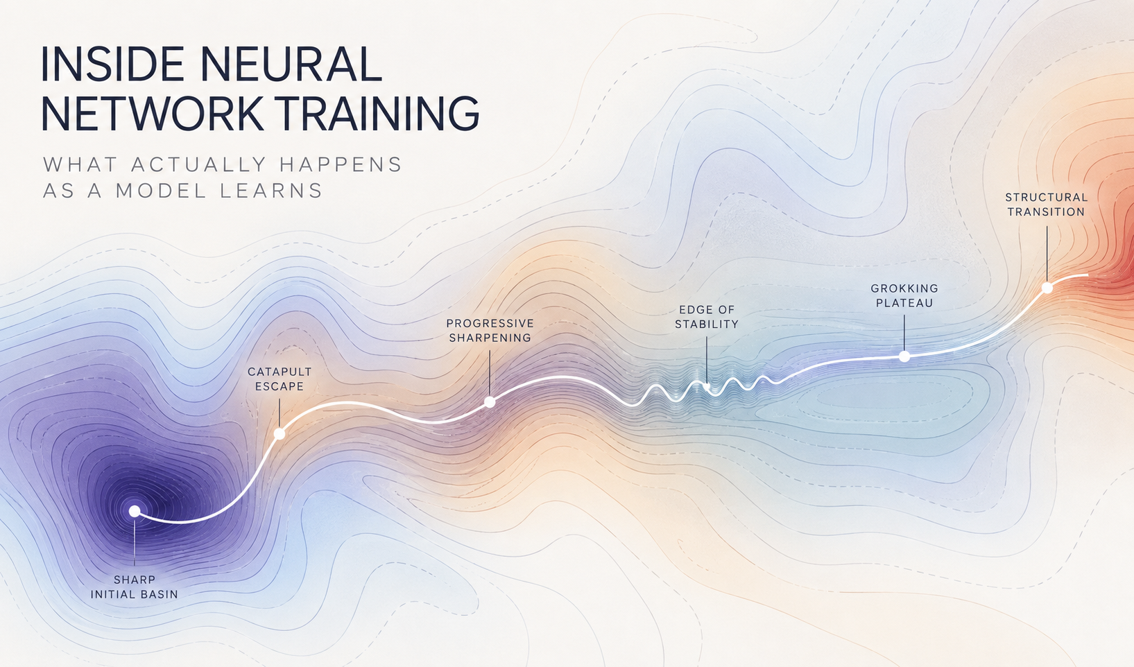 Inside Neural Network Training: What Actually Happens as a Model Learns